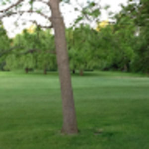 Meet your Posher, Edwin